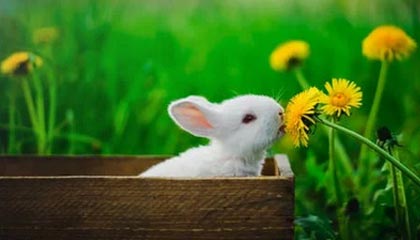 克罗托内战平对手，保持不败战绩继续领跑，克罗托内比赛实况聚胜顽球汇