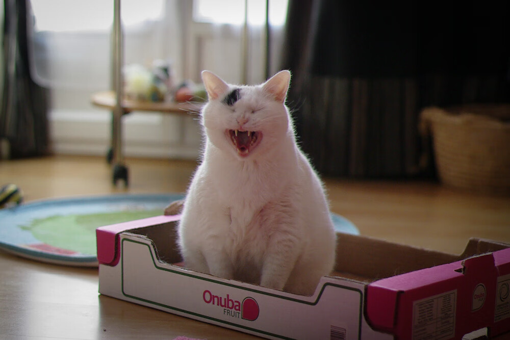 【丁俊晖】背靠背夺冠，怎样保持赛季稳定发挥？，丁俊晖背影