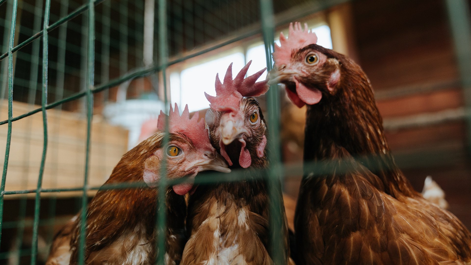 城市之光：代表城市的球队文化特色，何为城市之光