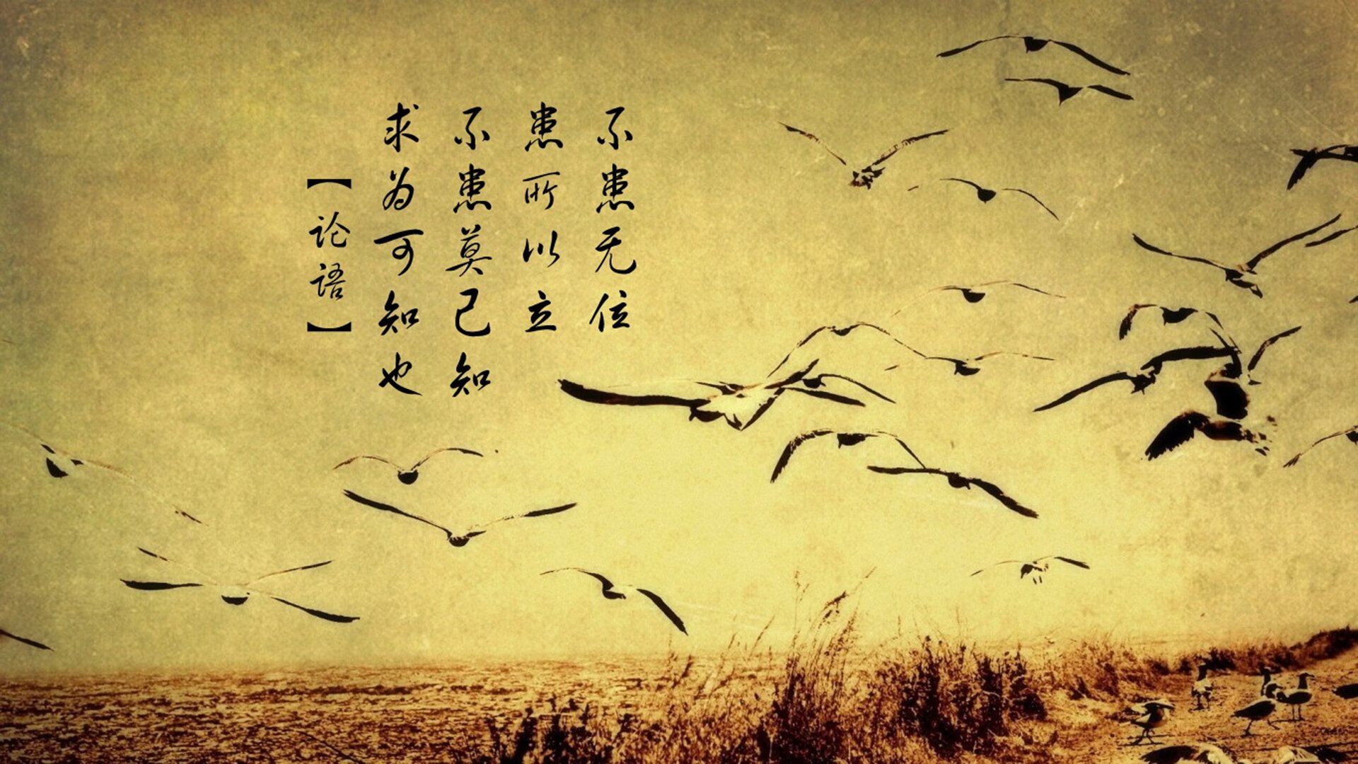 中国青少年足球联赛开幕，培养未来之星，中国青少年足球锦标赛