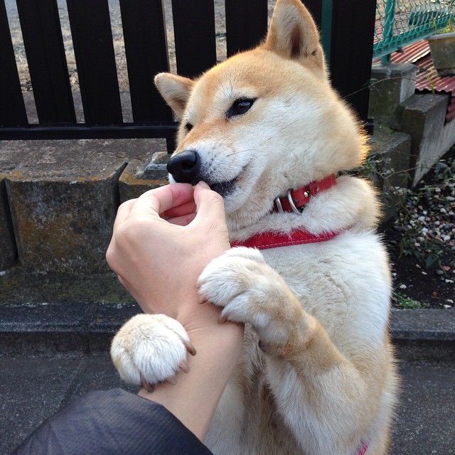 中超新星崛起，成为球队核心力量，中超有潜力的国产新人