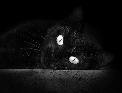 中超新星表现抢眼，未来可期，2020中超新人