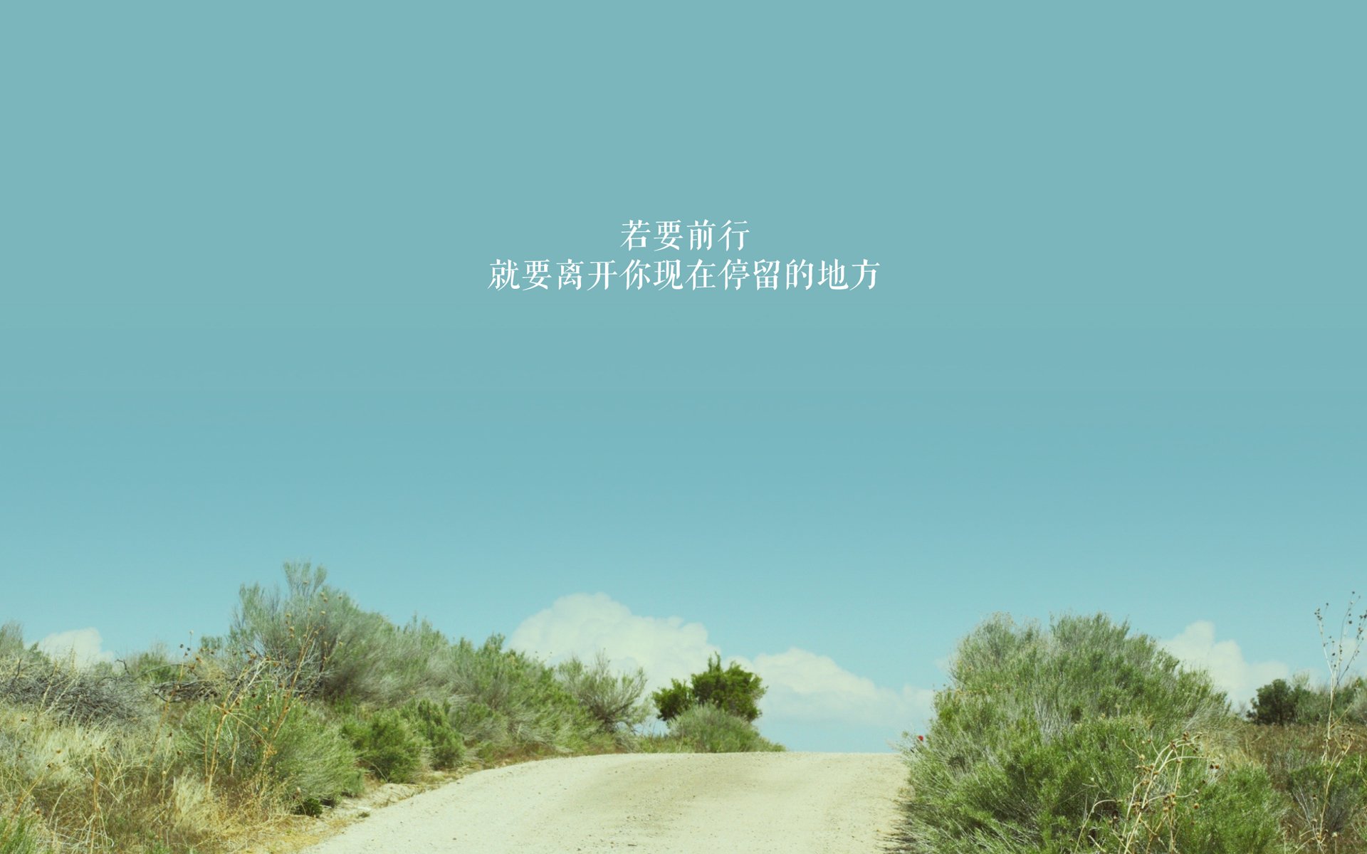 沃尔夫斯堡主场2-1战胜柏林联合，状态回暖，沃尔夫斯堡对柏林赫塔比分预测