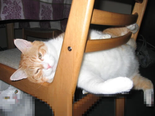 篮球运动员身体恢复技术创新研究，篮球运动员的疲劳与恢复