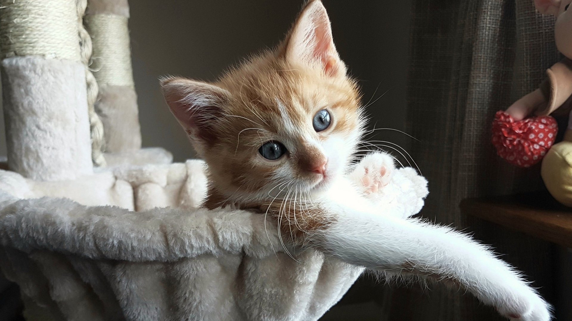 全国体校田径赛小将摘得四金,田径体育学校