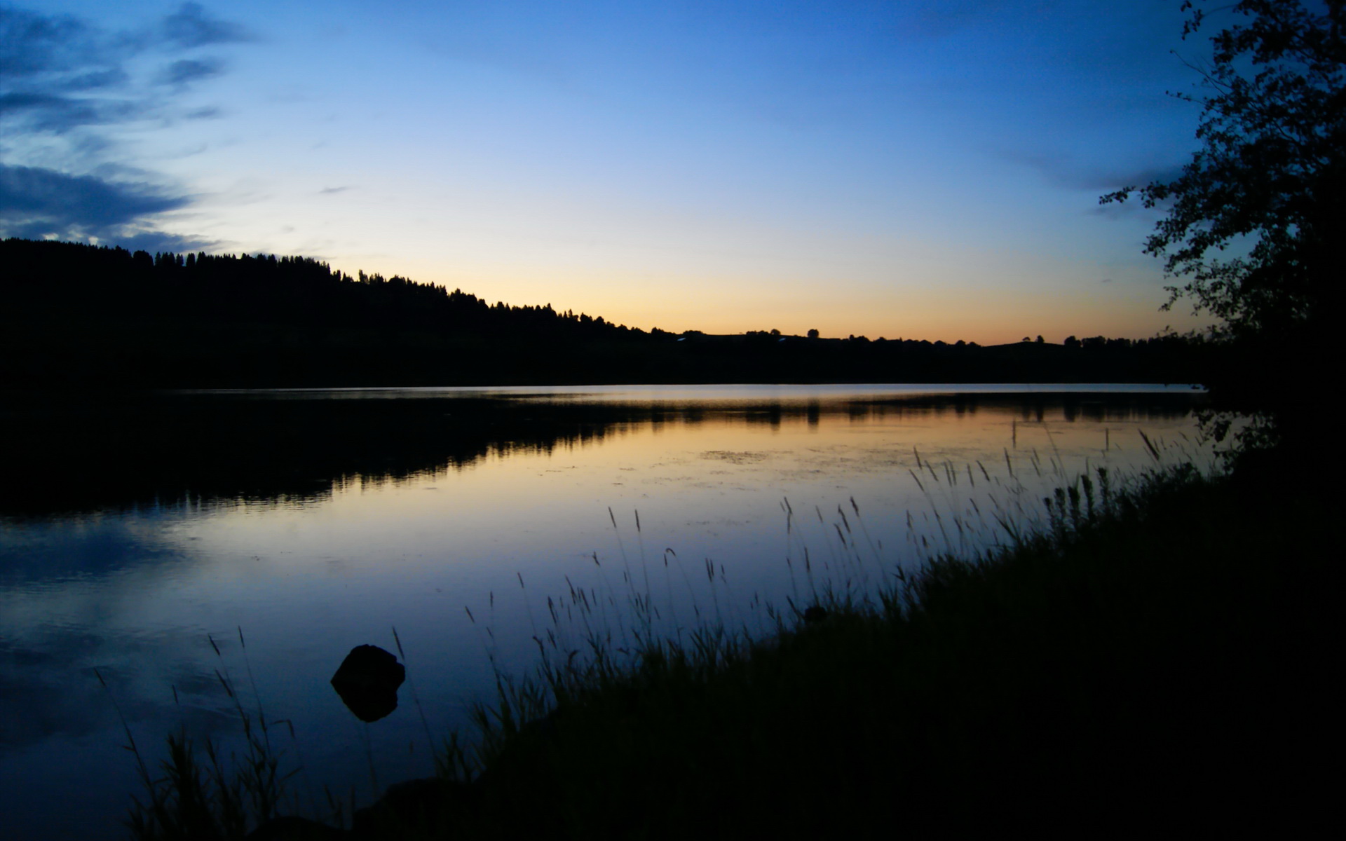 全国青少年摄影运动会用镜头记录运动瞬间,青春精彩永恒,校运会摄影比赛