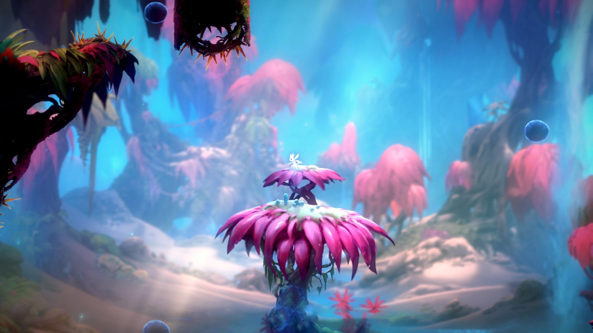 全国青少年马拉松赛掀起全民参与热潮,全国青少年马术锦标赛