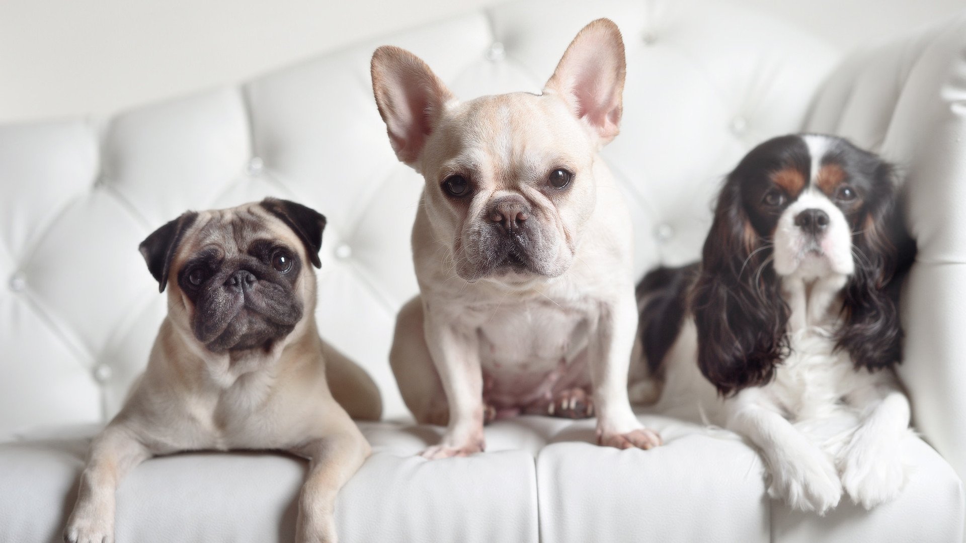 全国青少年马拉松赛掀起全民参与热潮,全国青少年马术锦标赛