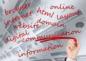 校园体育赛事品牌建设路径与传播策略研究，校园体育竞赛体系