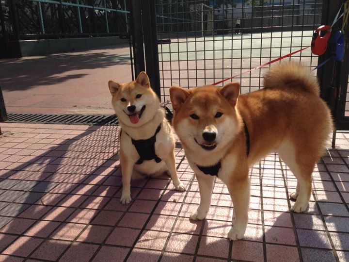 世界杯中国青年队复仇 数据回顾展现成长，中国男足世青赛最好成绩