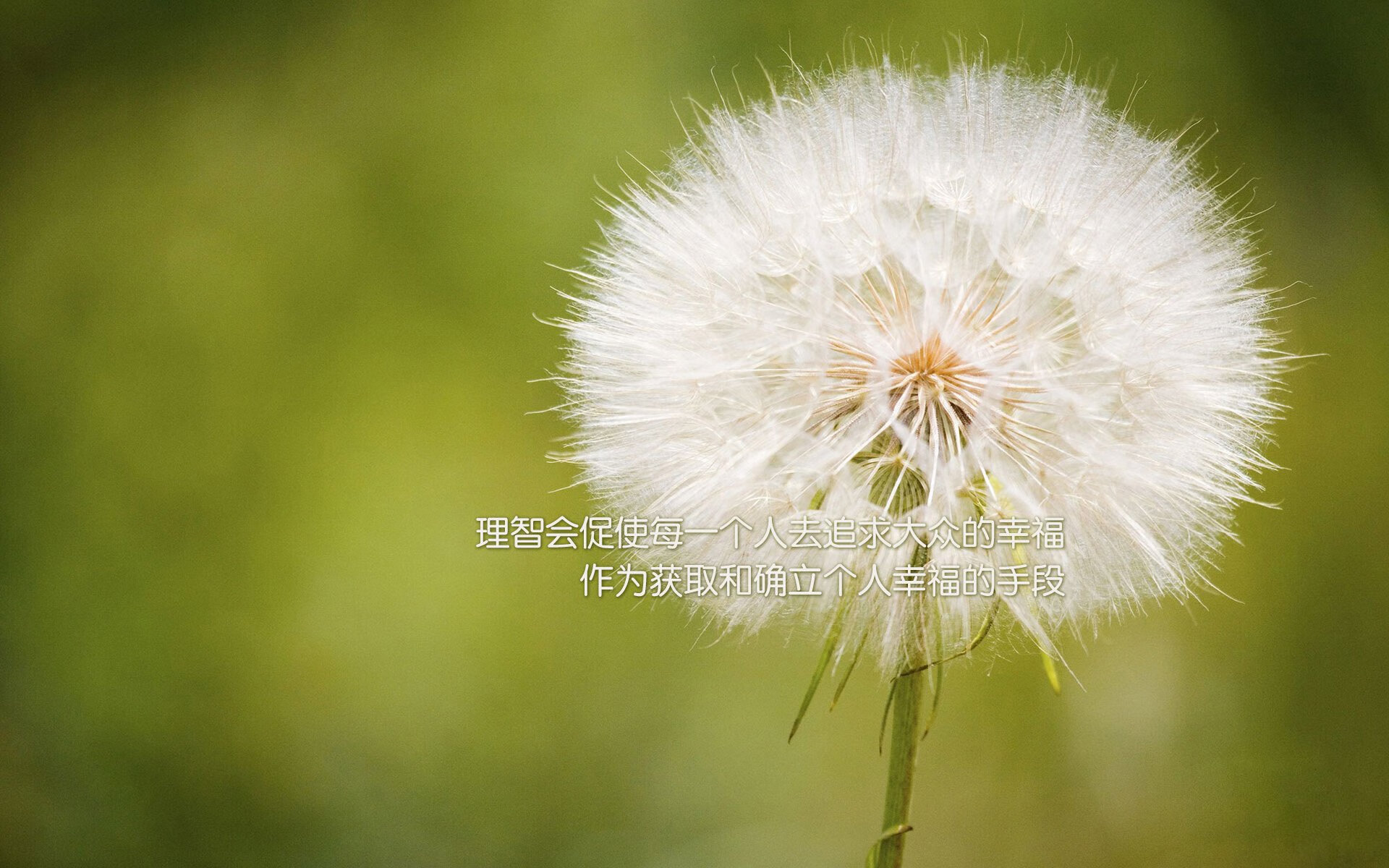 欧洲杯激烈角逐：战术变幻带来无限惊喜！，盘点欧洲杯