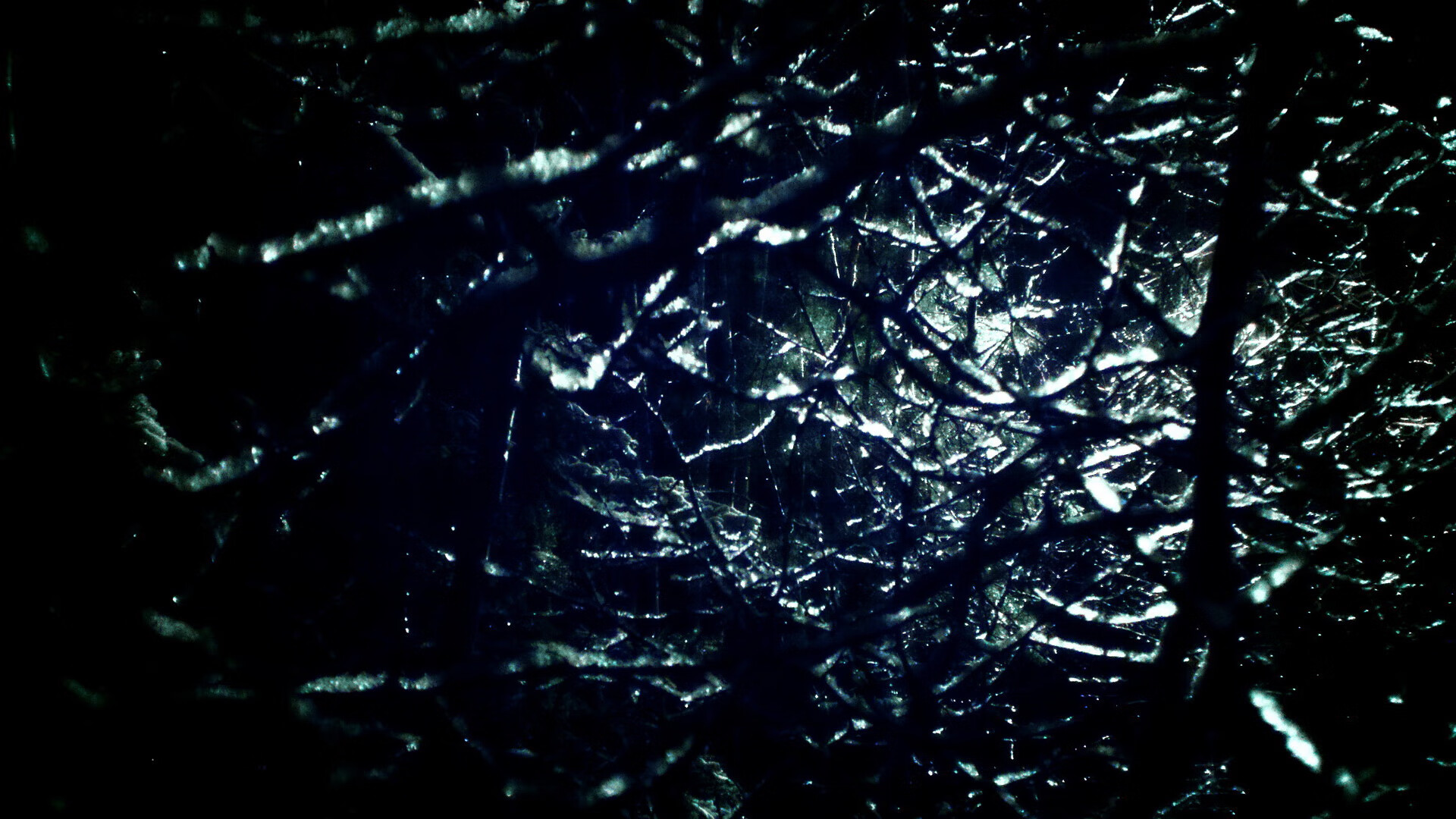 比利时男篮在欧洲预赛中坚持到底,冲击奥运名额,比利时男篮什么水平